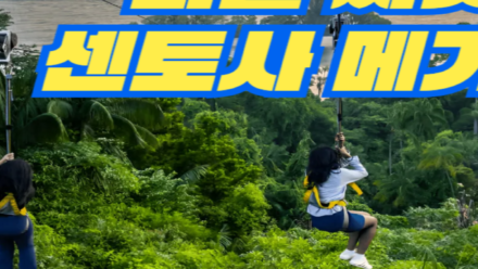 MegaZip 입장권 (주문자 티켓 수령 이메일주소 확인)