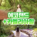 에코랜드+카멜리아힐