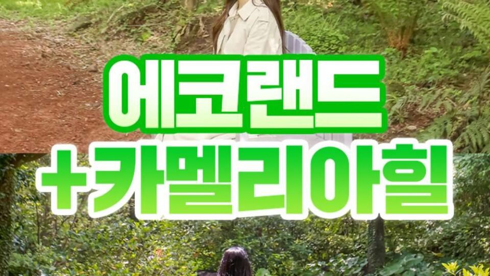 에코랜드+카멜리아힐