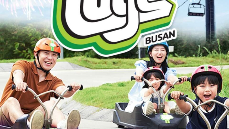 루지/스카이라이드 4회권 1인권