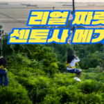 MegaZip 입장권 (주문자 티켓 수령 이메일주소 확인)